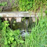 water management