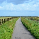 bicycle paths network