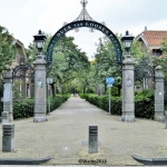 green residential areas