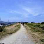 cyclists and pedestrians have priority