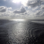 Wadden Sea, a living wilderness