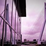 Rotterdam