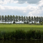 iconic landscape element