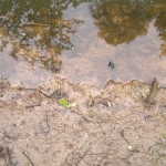 Voorjaar in Amersfoort-2