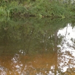 Herfst in Amersfoort-2