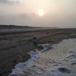 Voorjaar op Vlieland-1