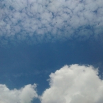 Zomer in Amersfoort-1