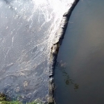 Voorjaar in Amersfoort-1