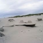 Zomer op Terschelling