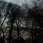 Ik hoor de reigers klepperen