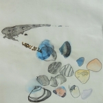 waar komen ze vandaan?