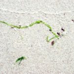 Details vloedlijn + spul.