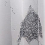 Het lijkt wel een radiolanaskeletje zegt Jan