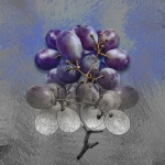Stelletje druiven (d3521)