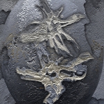Fossiel  (d2024)