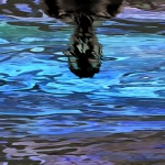 Look at yourself (d5225)