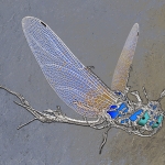 Vliegend Object (d3525)