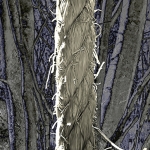 Asjemenou Touw! (d6424)