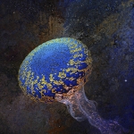 Jellyfish in Space (d6124)