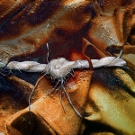 In de knoop  (d4624)