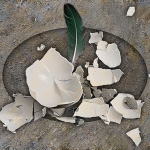 Een veer gelaten  (d0724)