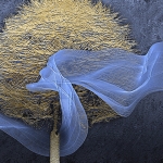 Compositie 2  (d0524)