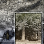 Back to reality (d3124)