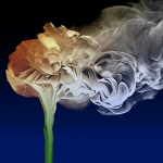 In rook opgaan  (d5623)