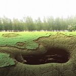 Bomen over boom (d2922)