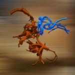 Steigerend paard met ruiter (d1526)