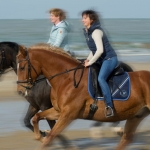 Horseback riding in de breaking waves on the beach.