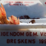 Fish Auction, Breskens, Zeeuws-Vlaanderen.