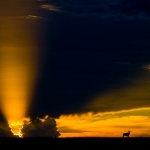zonsondergang in Afrika