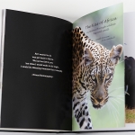 Sneak preview in a Nutshell