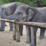 Olifant