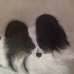 Zwart wit vlinderhondje