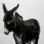 donkey