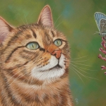 Kat met vlinder