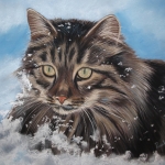 Noorse Boskat in sneeuw