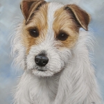 Jack Russel 2