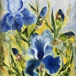 Irissen blauw 