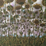 Last Sunflowers (Abandoned Painting #4)