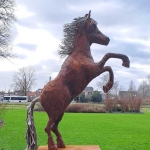 Paard