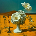 the true nature of form 07