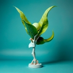 Thoughts and patterns 001