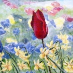 Blijf jezelf - Tulpen