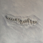 Fossiele kaak van krokodil