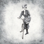 De fietsster