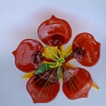 Bloem van Oost-Indische Kers