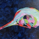 Bird skull
